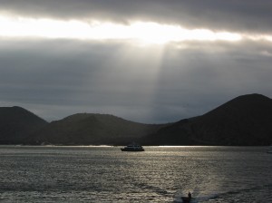 254.jpg
