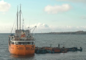 261.jpg