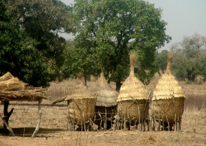 169.jpg