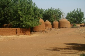 177.jpg