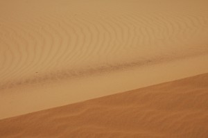 450.jpg