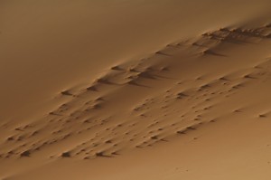 458.jpg