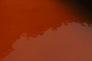 478.jpg