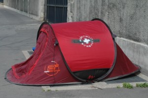 545.jpg