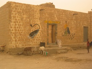 626.jpg
