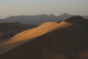 682.jpg