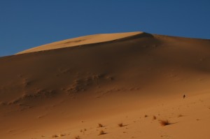 689.jpg