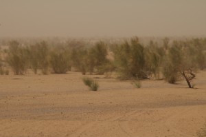 95.jpg