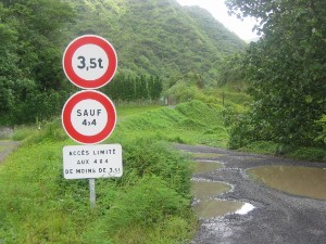 367.jpg