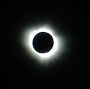 130.jpg