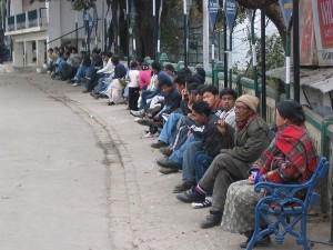 248.jpg