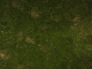 1117.jpg