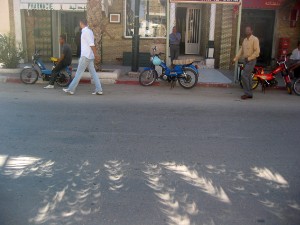 176.jpg