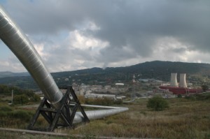 631.jpg