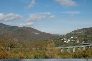 683.jpg