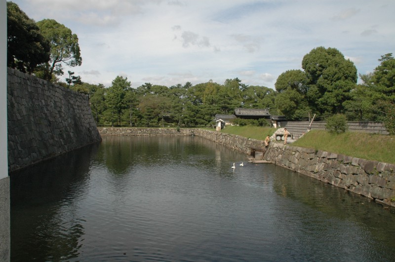 295.jpg