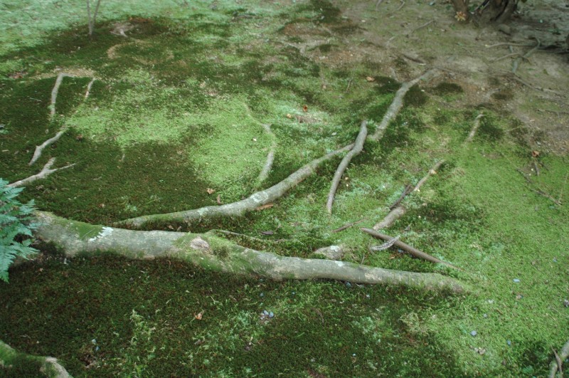 315.jpg