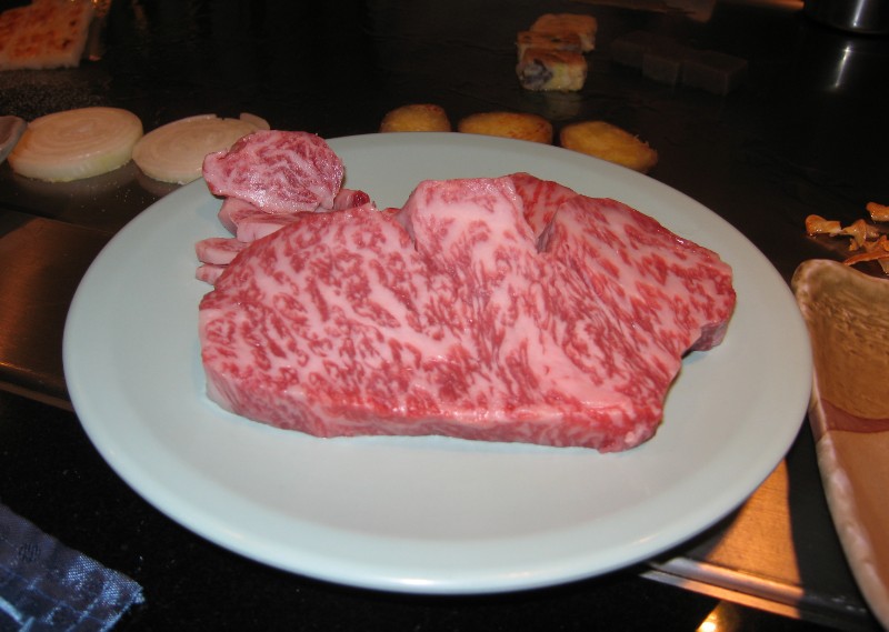 351.jpg