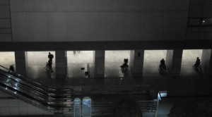 255.jpg