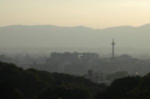 266.jpg