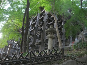 270.jpg