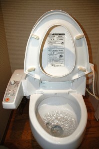 291.jpg