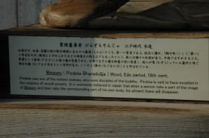384.jpg