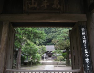 95.jpg