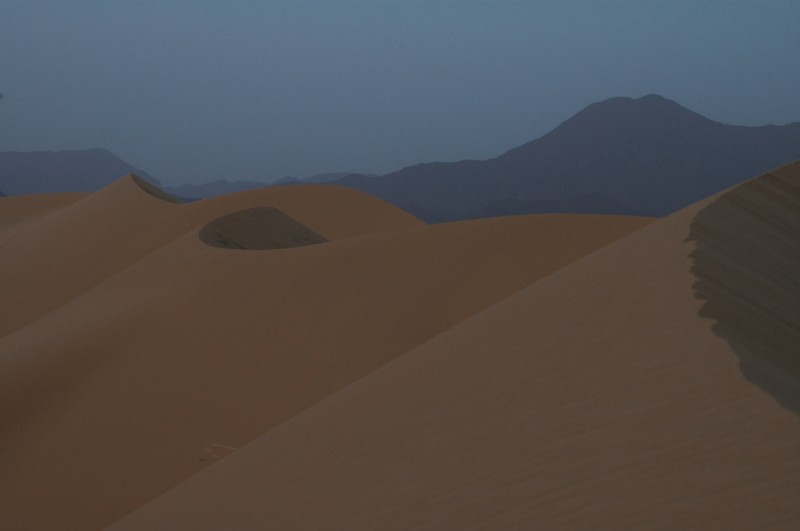 219.jpg