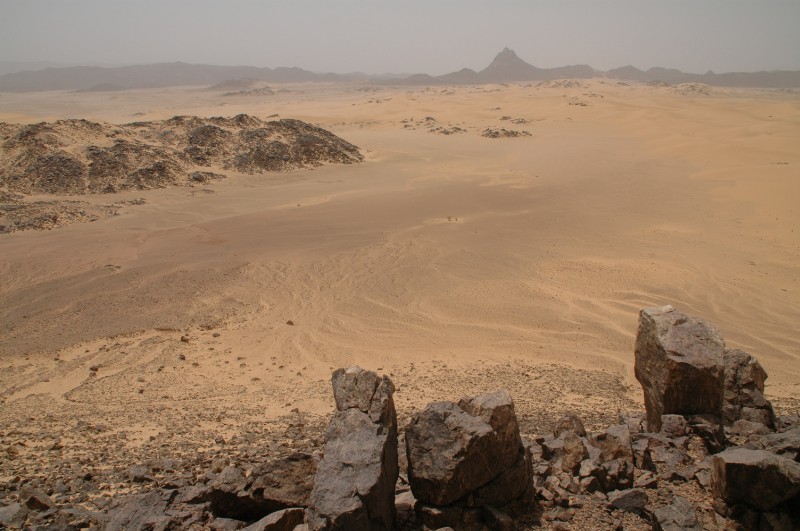 220.jpg