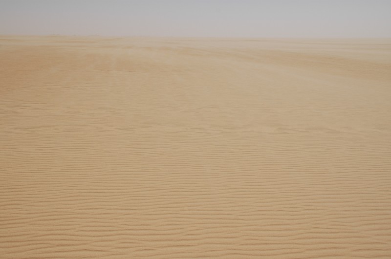 234.jpg
