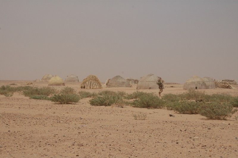 274.jpg