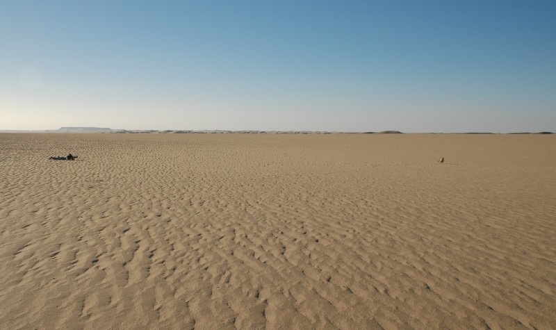 385.jpg