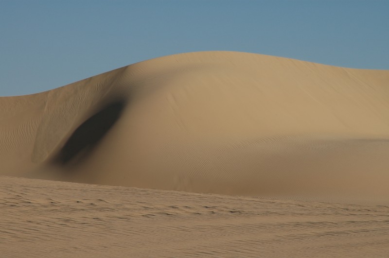 433.jpg