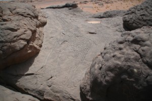 207.jpg