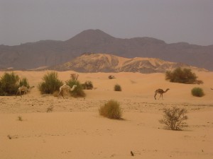 215.jpg