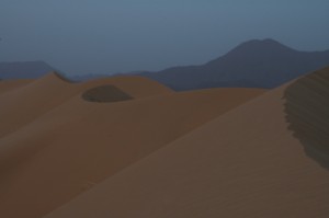 219.jpg