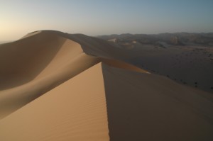 229.jpg