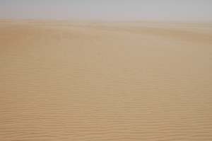 234.jpg