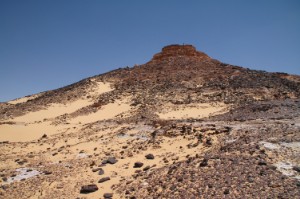 236.jpg