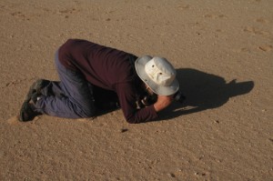 291.jpg