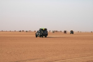 335.jpg