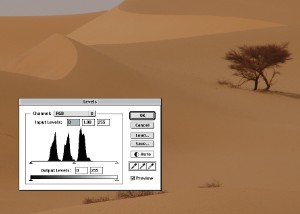 395.jpg
