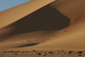 408.jpg