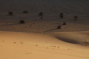 410.jpg