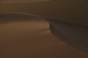 412.jpg