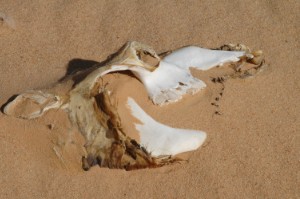 427.jpg