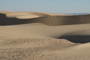 430.jpg