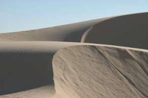 431.jpg