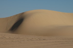 433.jpg
